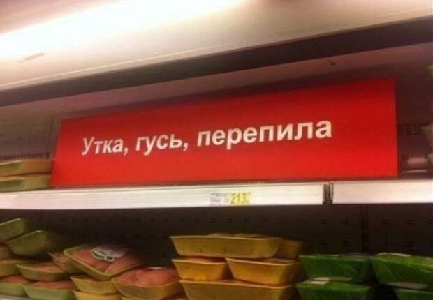 20 беспощадных маразмов