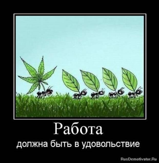 Новые демки приколы для всех.