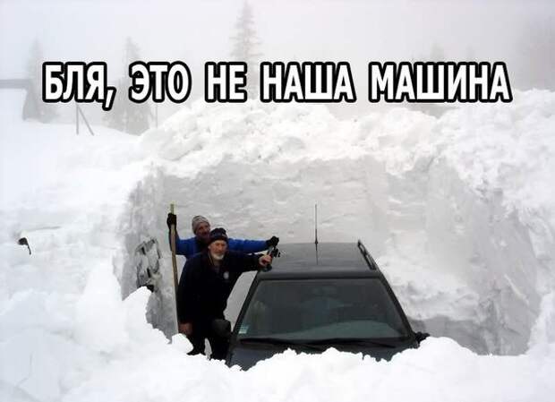 Смешные картинки с надписями прикол, юмор