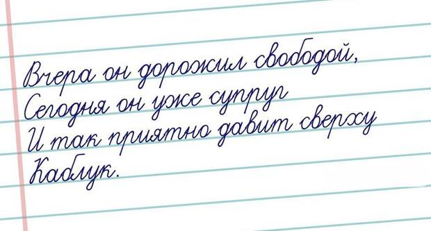 Странный юмор открытки, юмор