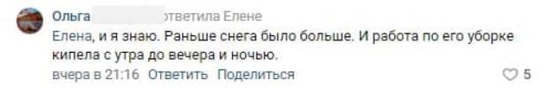 Петербуржцы определили виновных в некачественной уборке снега