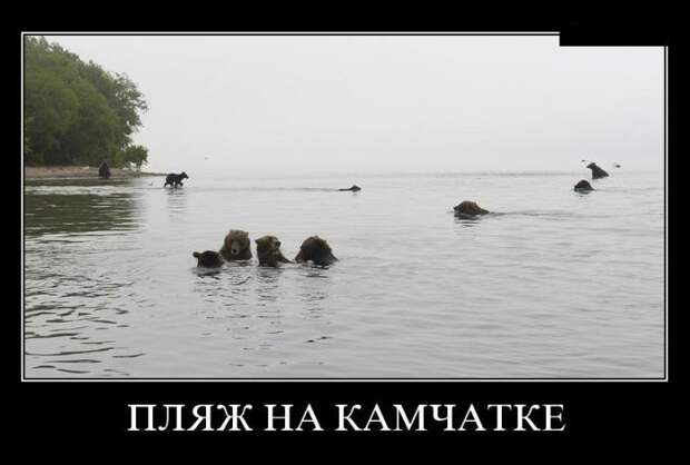Демотиваторы (30 фото)