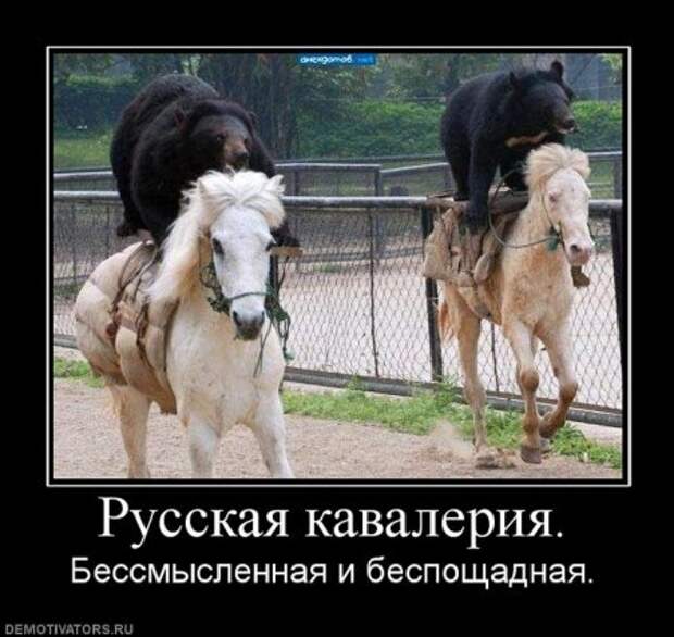 Разные смешные демотиваторы, новые приколы на фото.