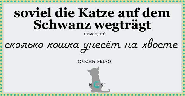 catidiom06