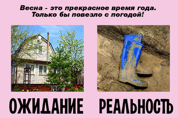Ожидания и реальность майских праздников Ожидания и реальность майских праздников ожидание, праздники, реальность