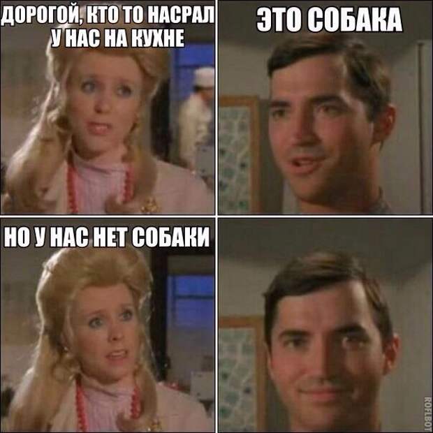 Смешные картинки с подписями катинки, прикол, юмор