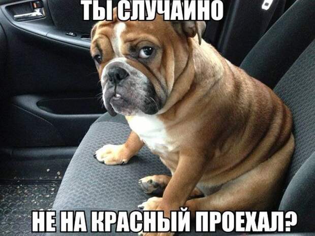авто, автоприколы, приколы