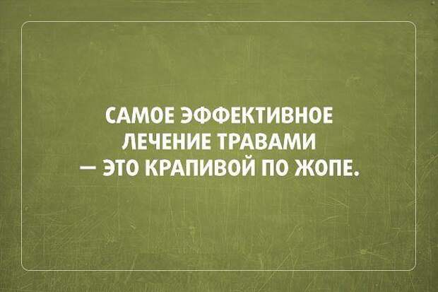 3416556_getImage_6_ (600x400, 32Kb)