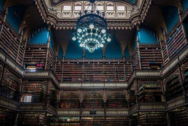 magnifique-bibliotheque-4