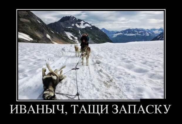 Демотиваторы демотиваторы