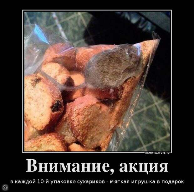 Эфемерные демотиваторы 35