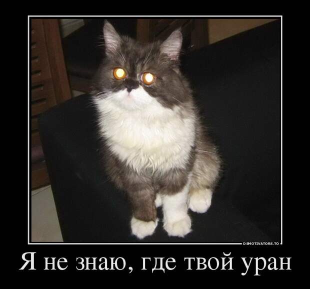 Демотиваторы  демотиваторы, прикол, смех, юмор