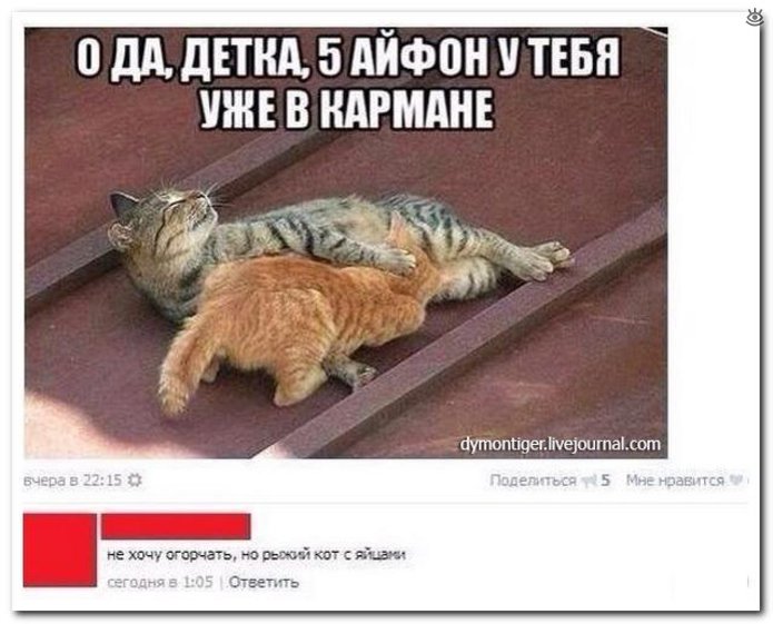 Комментарии со смешинкой 0