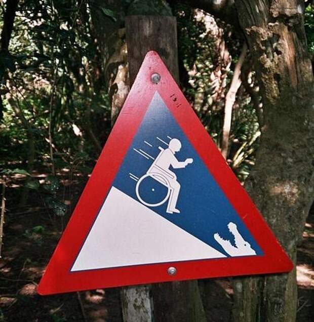 23. Крокодилы знак, мир, юмор