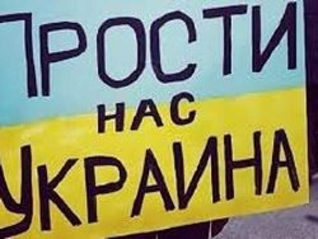 Новость на Newsland: Боровой: Путин на коленях будет просить прощения у народа Украины