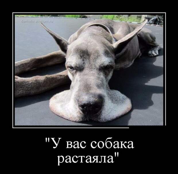 Демотиваторы (30 фото)