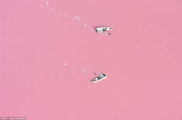 9. Розовая река красота, удивительное рядом, фото, фотошоп