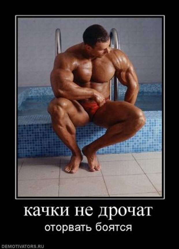 Смешные и только новые демотиваторы!