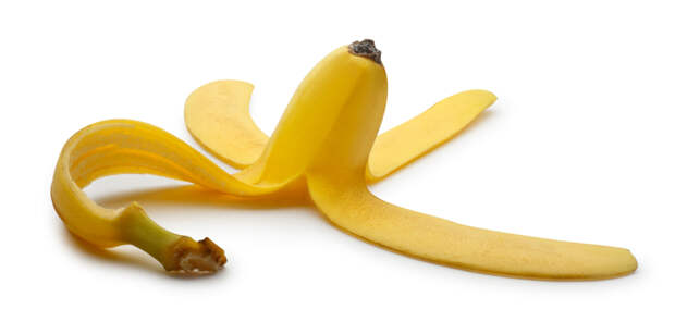 2222299_3756_1 (700x347, 110Kb)