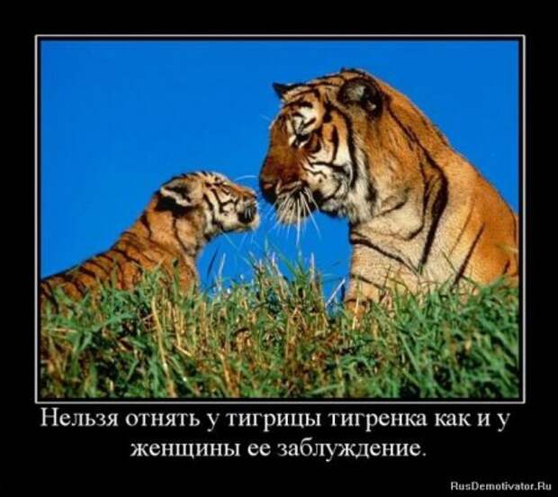 Демотиваторы серьезные, читать под настроение.