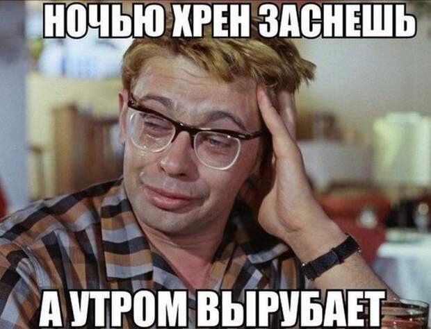 Подборка веселых картинок с подписями (20 фото)
