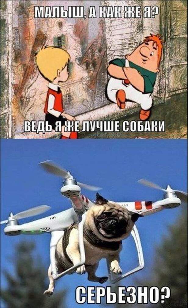 Свежие приколы в картинках и фото (33 шт)
