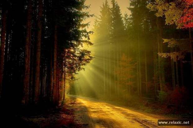 nature_001
