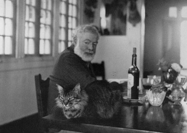 Эрнест Хемингуэй и его коты 