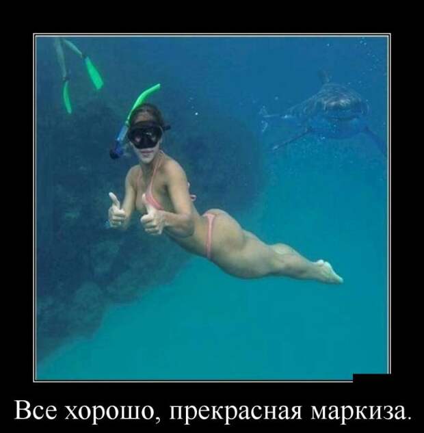 Ничего лишнего  (30 фото)