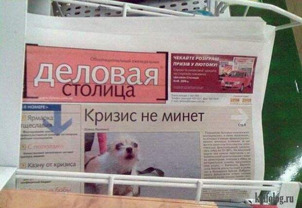 Фото приколы про Россию. Подборка - 270 (85 фото)