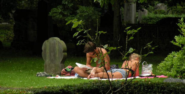 3. Устраивают пикники на кладбищах в мире, дания, датчане, люди, страна