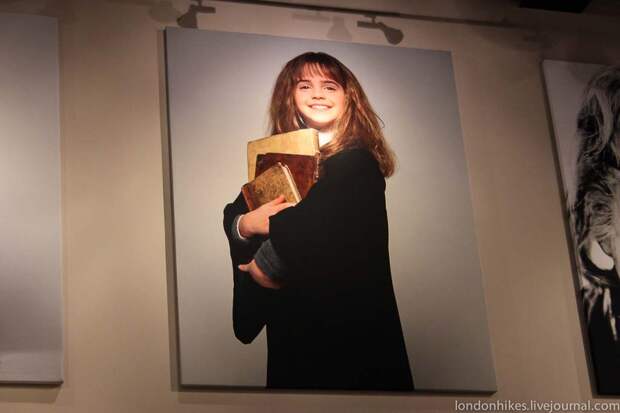 Музей маленького мальчика в очках HarryPotter 100 Музей маленького мальчика в очках