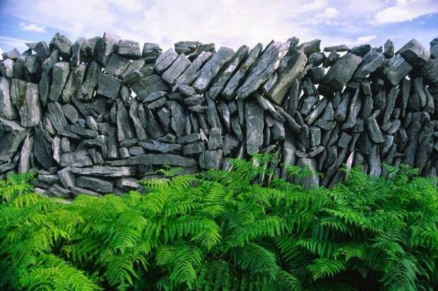 Каменные стены Ирландии Каменные стены Ирландии ирландия, стены