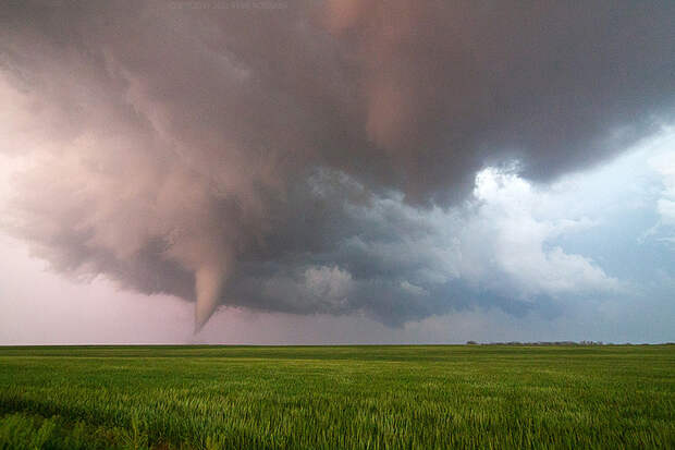 Tornado in a field.jpg