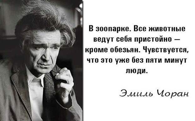 Классная подборка цитат