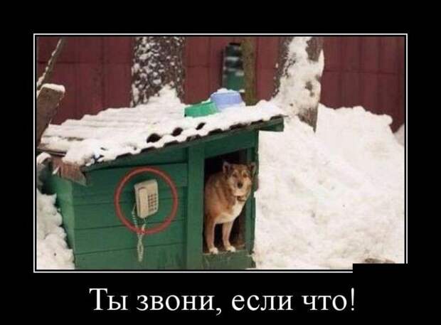 Демотиваторы (30 фото)