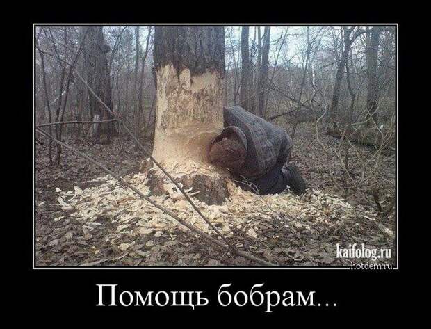 Весёлые демотиваторы - 262 (50 демотиваторов)
