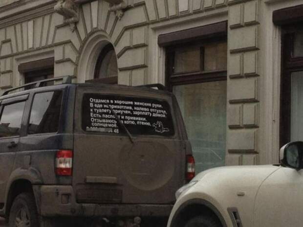 Новая пачка автоприколов