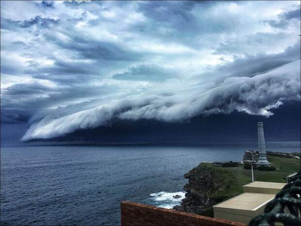 Облачное «цунами» прокатилось над Сиднеем. Невероятное зрелище! облако, цунами