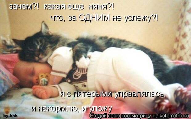 Котоматрица - зачем?!  какая еще  няня?! я с пятерыми управлялась, и накормлю, и уло
