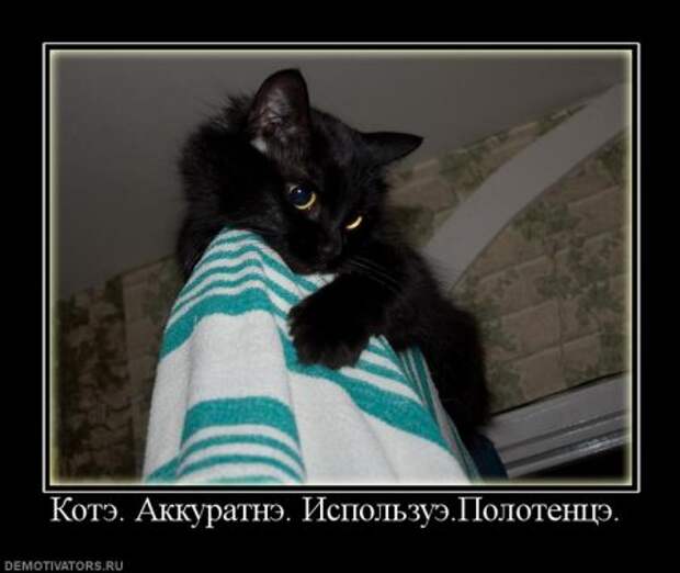 Демотиваторы про котэ, почти как котоматрицы!
