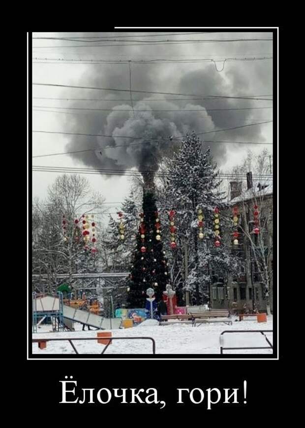Демотиваторы (30 фото)