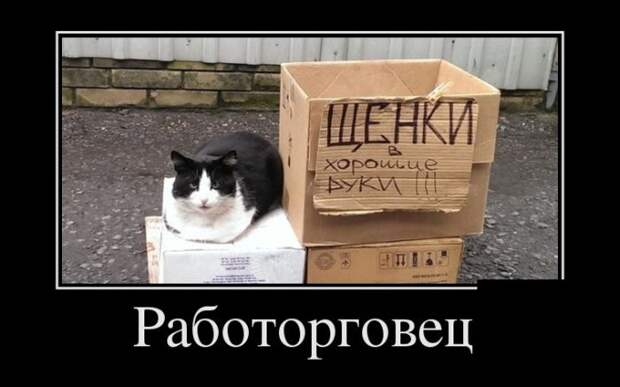 Демотиваторы Демотиваторы демотиваторы, юмор