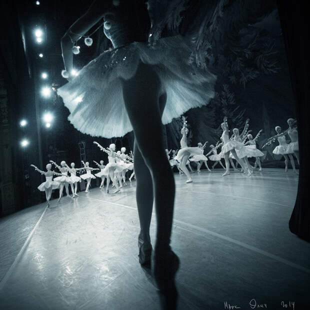 Mark Olich Ballet photography (40) (700x700, 374Kb)