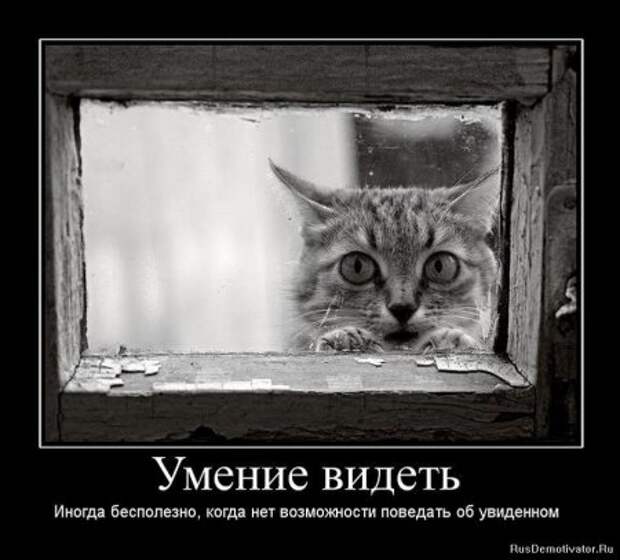 демотиваторы смысловые