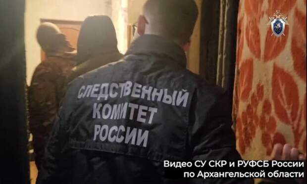 Житель Архангельска получил два года колонии за публичное оправдание терроризма в мессенджере