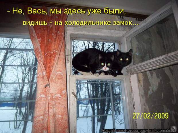 Чудная котоматрица 23