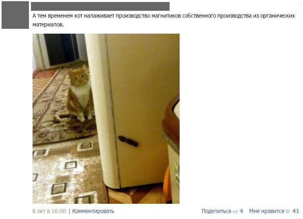 Ржака из социальных сетей