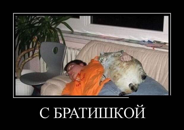 Демотиваторы демотиваторы, прикол, смех, юмор
