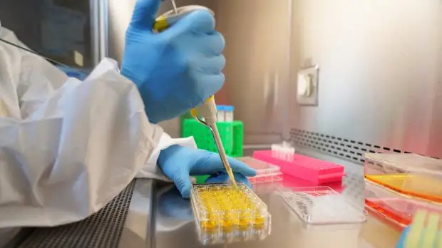 В Нижегородской области выявили штамм «омикрон» коронавируса